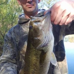 Meet your Posher, Tom